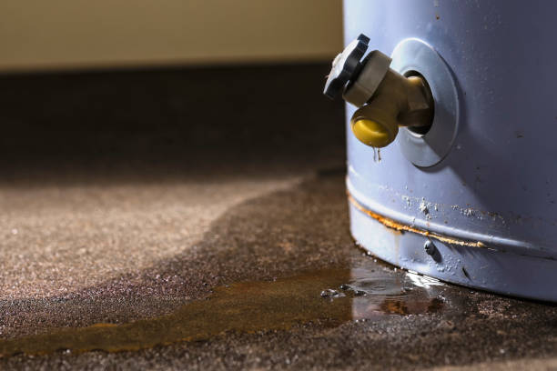 Best Ceiling water damage repair  in La Blanca, TX