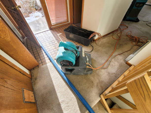 Best Commercial water damage restoration  in La Blanca, TX