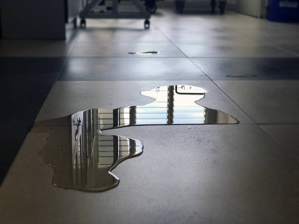 Best 24-hour water damage restoration  in La Blanca, TX