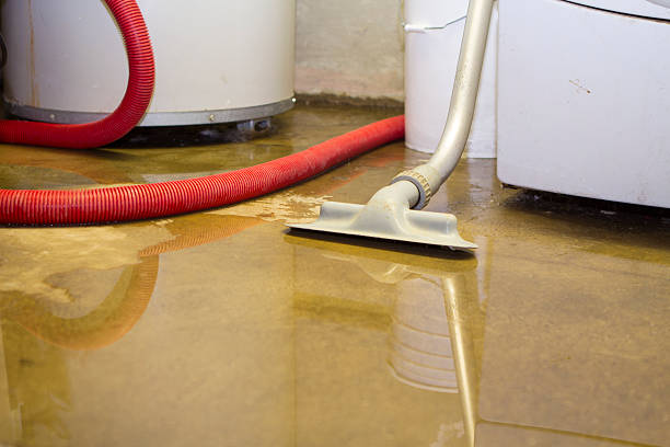 Best Water damage restoration insurance claims  in La Blanca, TX