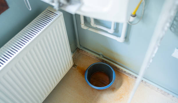 Best Water damage cleanup near me  in La Blanca, TX