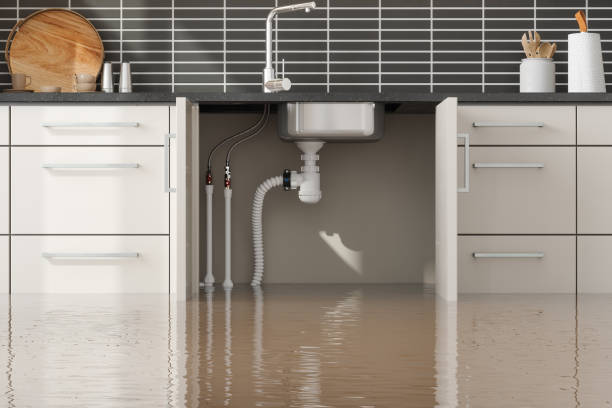 Best Sewage cleanup and water damage restoration  in La Blanca, TX