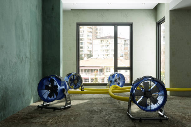 Best Water damage restoration near me  in La Blanca, TX